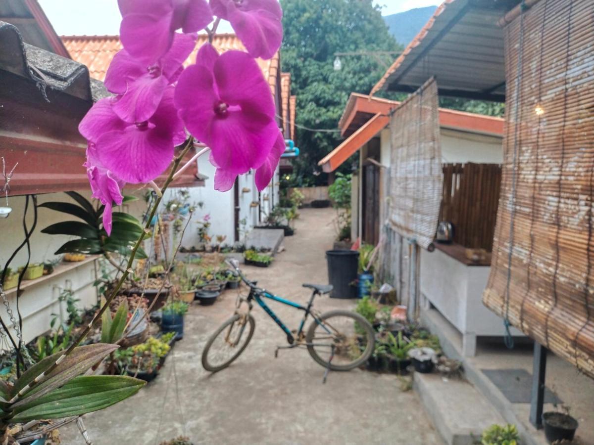 Pdv Guesthouse Muang Ngoi 外观 照片